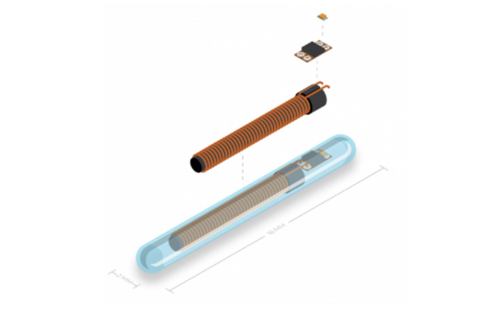 Microchips